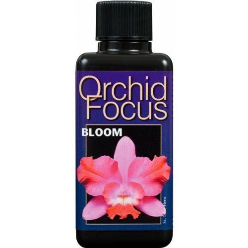 Growth Technology Orchid Focus Bloom supporting the blooming of orchids 300ml 1 Growth Technology Orchid Focus Bloom supporting the blooming of orchids 300ml