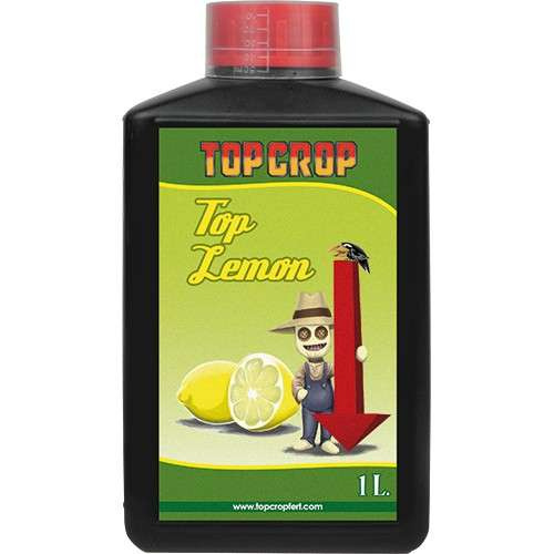 Top Crop Top Lemon ph- 1l 1 Top Crop Top Lemon ph- 1l