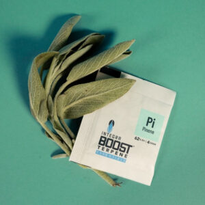 Integra Boost Terpene Essentials Pinene 4G 62% - humidity regulator