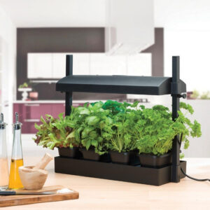Garland Grow Light Garden Black 8W - set for growing herbs 50x20x45cm