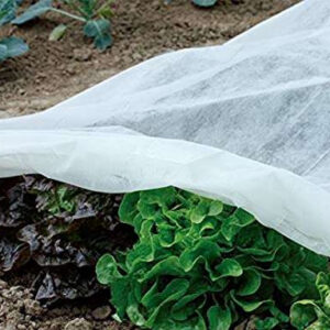 Agrofibre for plant protection 1.6x5M