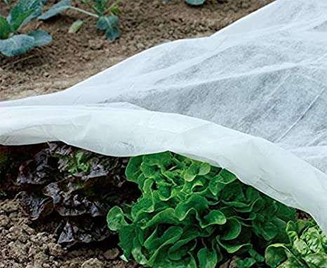 Agrofibre for plant protection 1.6x5M 1 Agrofibre for plant protection 1.6x5M
