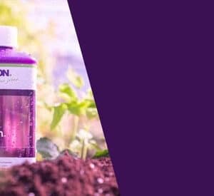 Plagron ph minus 250ml | For lowering ph