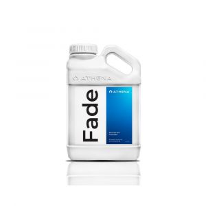 Athena Fade 3,78 l (1 gal)